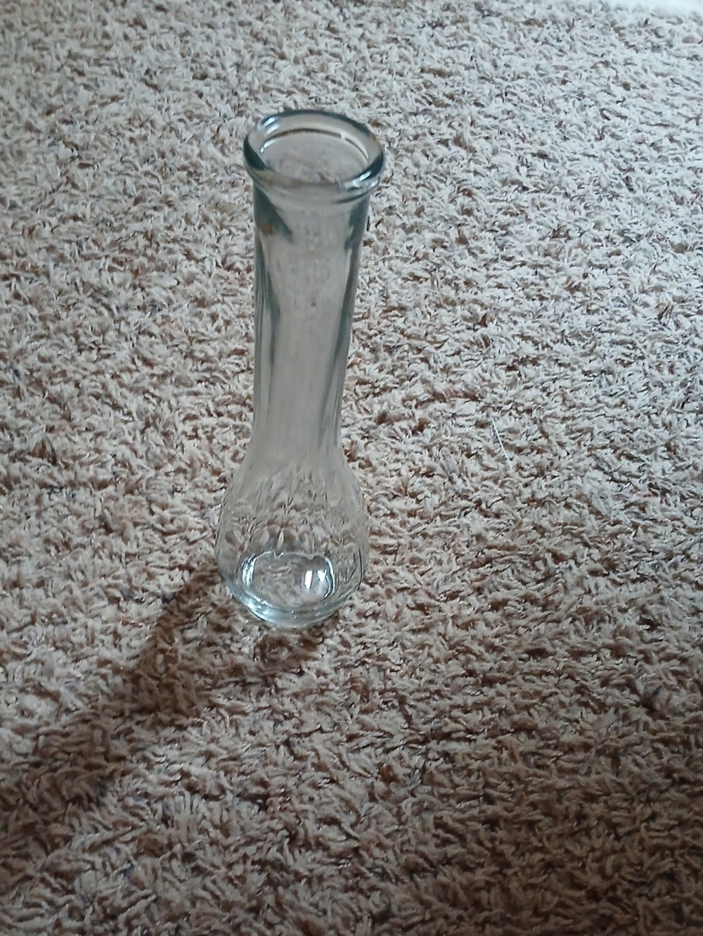 Clear Glass Bud Vase - Elegant Narrow Neck